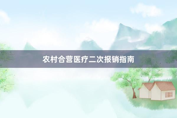 农村合营医疗二次报销指南