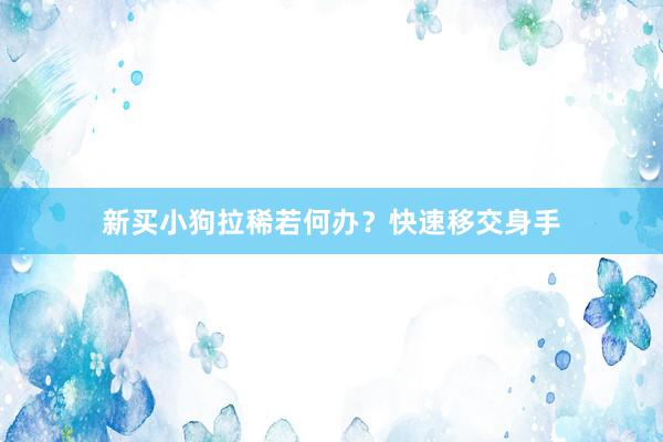 新买小狗拉稀若何办？快速移交身手