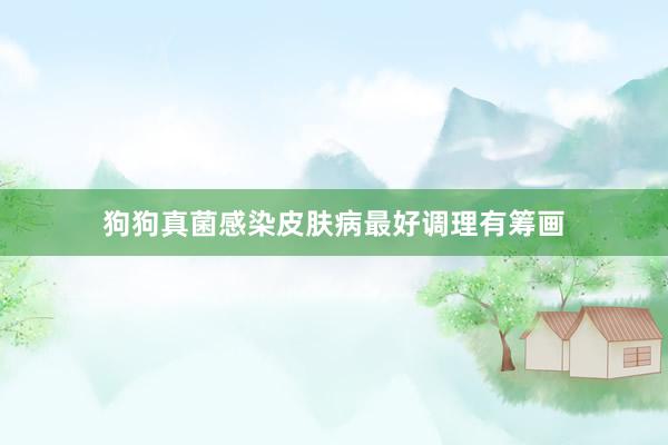 狗狗真菌感染皮肤病最好调理有筹画