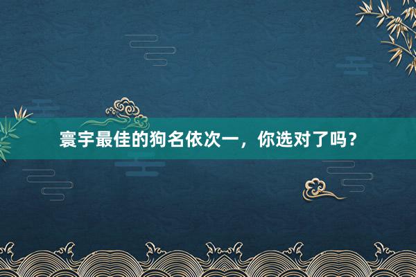 寰宇最佳的狗名依次一，你选对了吗？